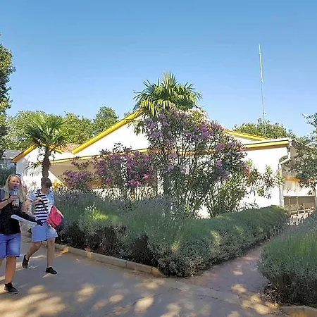 Mobile Homes Banko In Bijela Uvala And Zelena Laguna